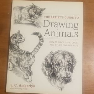 Animal Drawing Guide